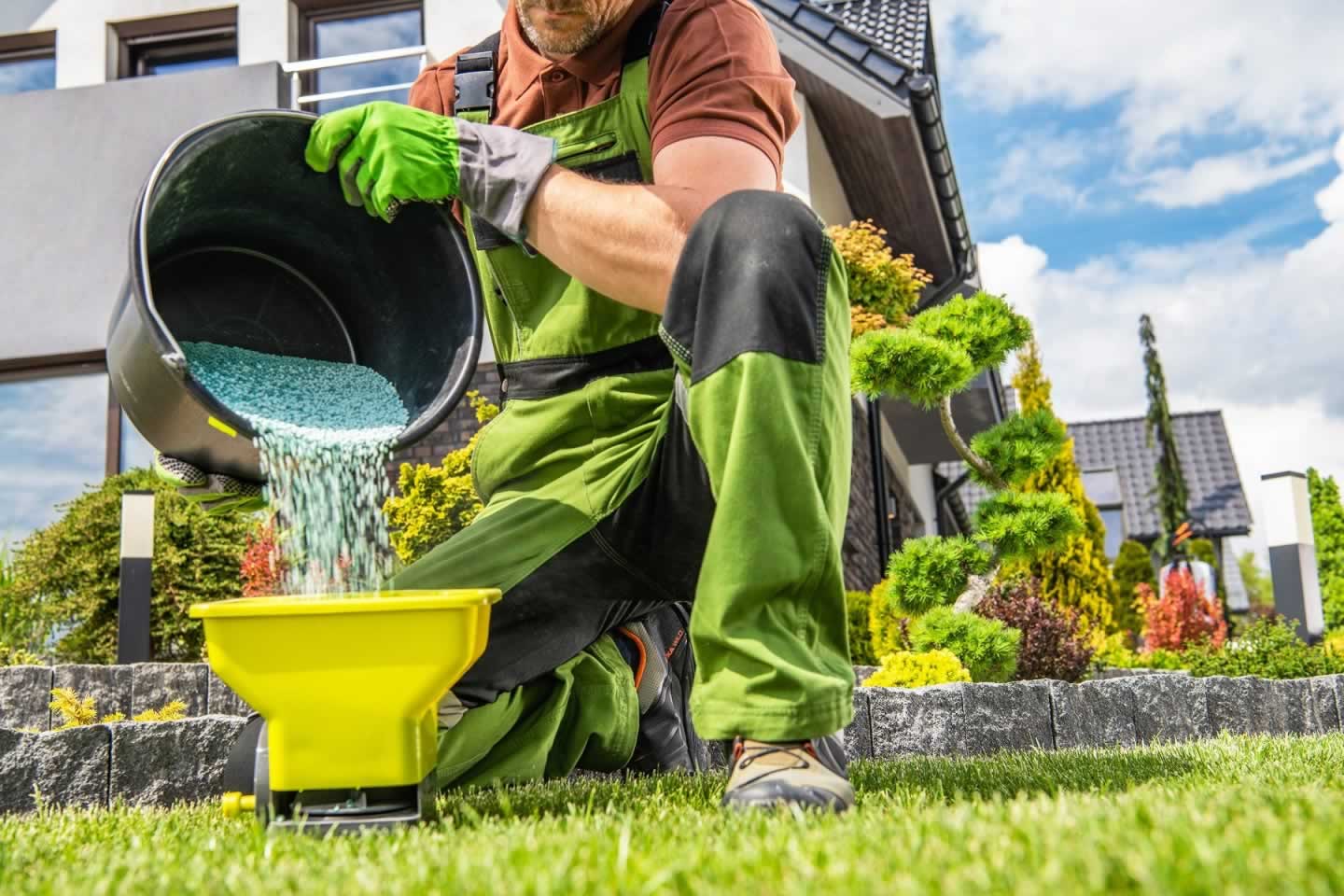 best lawn fertilizing company